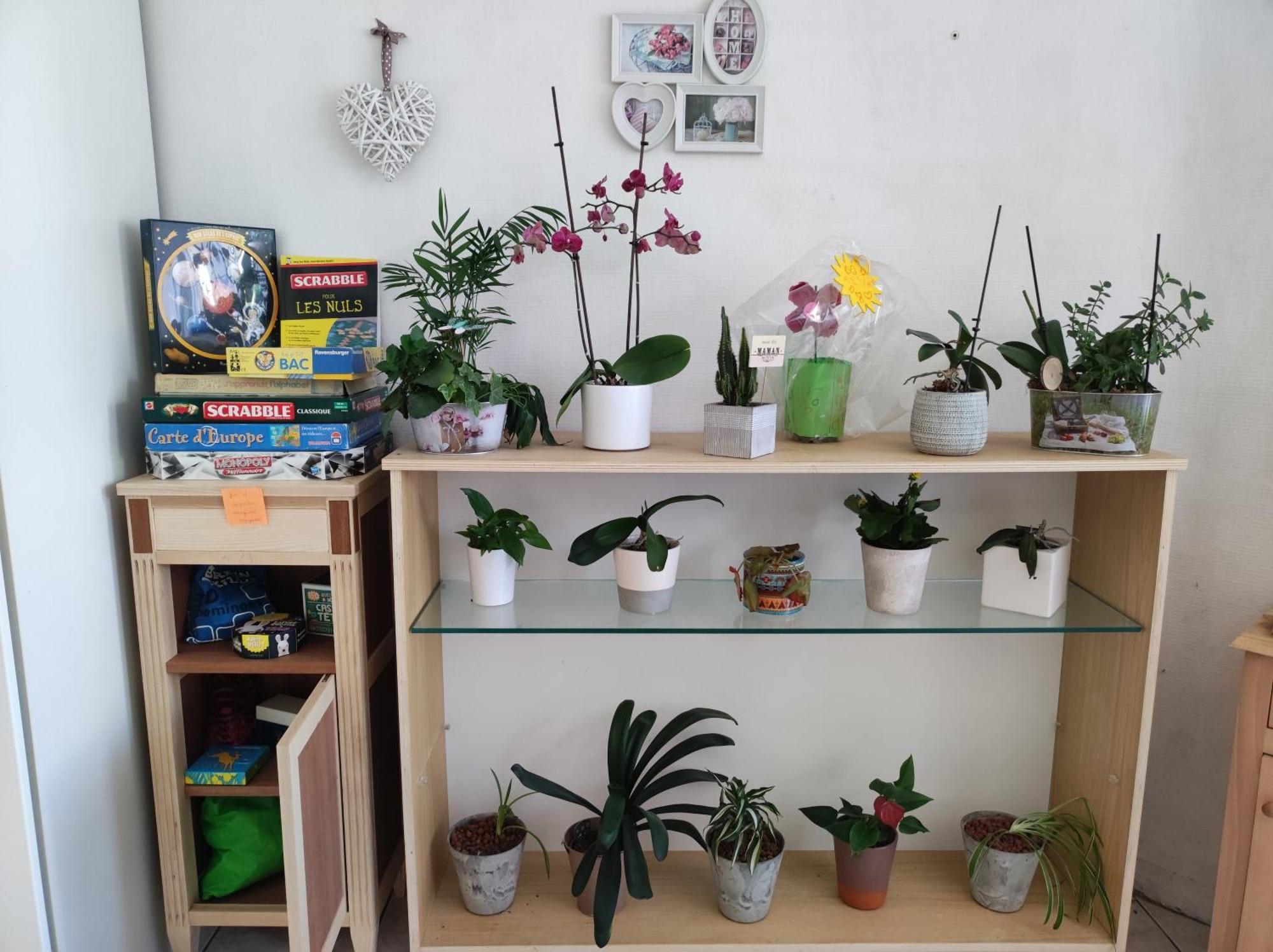 Chambre Chez L'Habitant "Cactus" Une, Deux Ou Trois Personnes Derval Екстер'єр фото